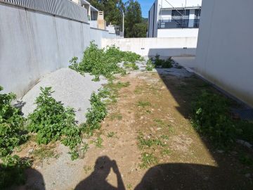 Paisagismo
