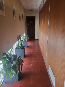 Técnico de Reparação de Pisos em Pedra - Casa