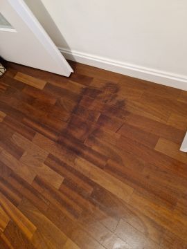 Hardwood Floor Repair or Partial Replacement