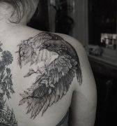 Tatuadores - Tatuagens e Piercings