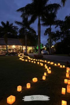 Decoração de Festas e Eventos - Eventos