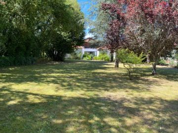 Lawncare