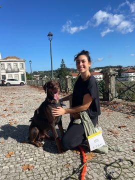 Hotel para Cães