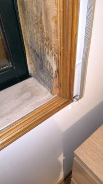 Carpentry and Woodworking