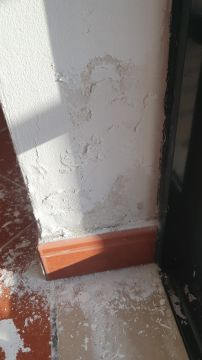 Pintura - Casa