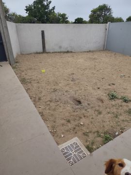 Especialista en césped artificial - Hogar
