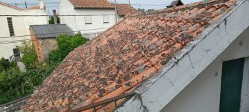 Roof Installation Professional