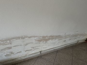 Pintor de Casas