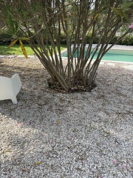 Serviço de Jardinagem - Casa