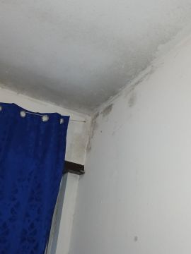 Pintor de Casas - Casa