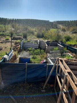Asbestos Removal