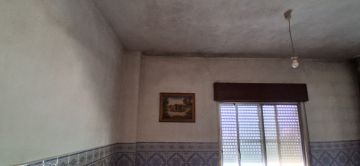 Pintor de Casas