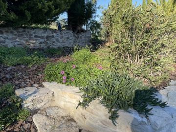 Gardening - Lawncare