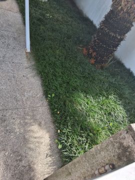 Jardinería