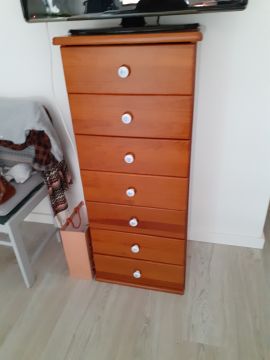 Cabinet Painting