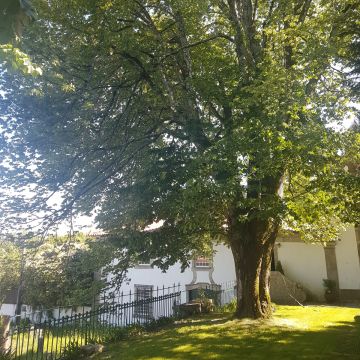 Jardinagem e Relvados - Casa