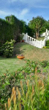 Gardening