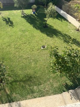 Serviço de Jardinagem