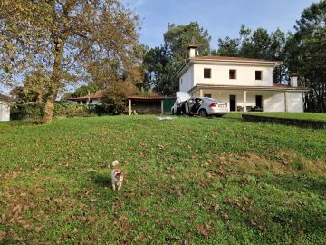 Lawncare