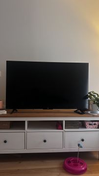 TV Repair Specialist