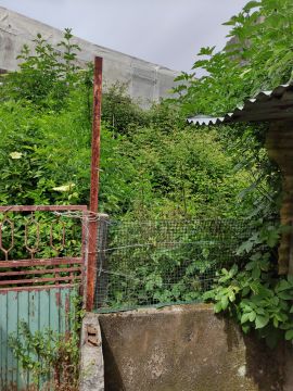 Jardinagem e Relvados