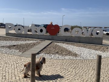 Hotel para Cães