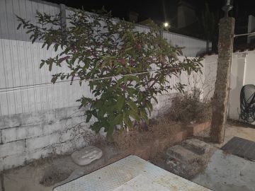 Jardinagem e Relvados - Casa