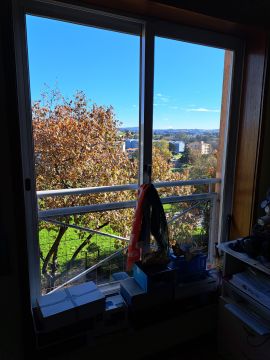 Blinds Repair