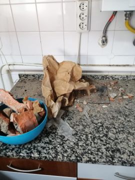 Inspetor de Lareiras e Chaminés - Casa