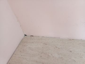 Pintor de Casas