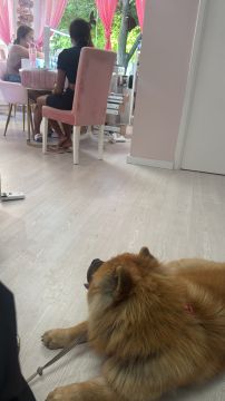 Hotel de Animais