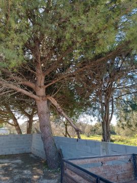 Jardinagem e Relvados