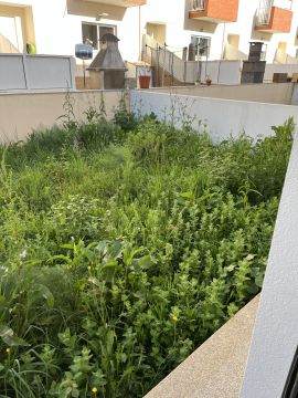 Gardening