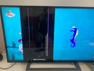 TV Repair Services