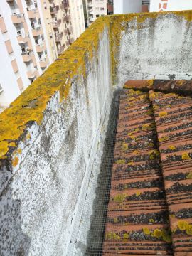 Telhados e Coberturas - Casa