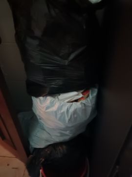 Especialista em Remoção de Lixo e Entulho