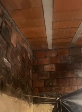 Waterproofing Specialist