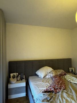 Especialista em Aplicar Papel de Parede