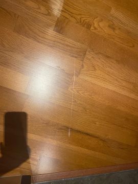 Réparation ou remplacement de sol en bois - Revêtements de sol