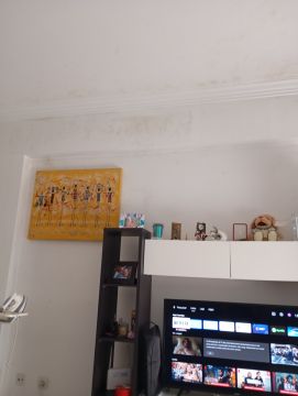 Peinture intérieure