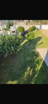 Jardinagem