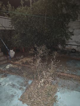 Serviço de Jardinagem - Casa