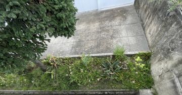 Serviço de Jardinagem