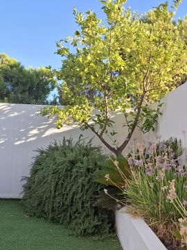 Serviço de Jardinagem