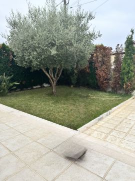 Gartenarbeit