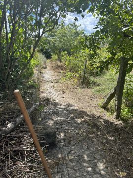 Especialista de Limpeza de Terrenos