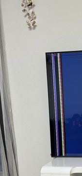 TV Repair Specialist