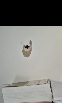 Instalação de Paredes de Pladur