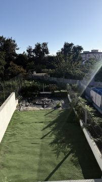 Instalação de Tapete de Relva