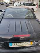 Car Painter